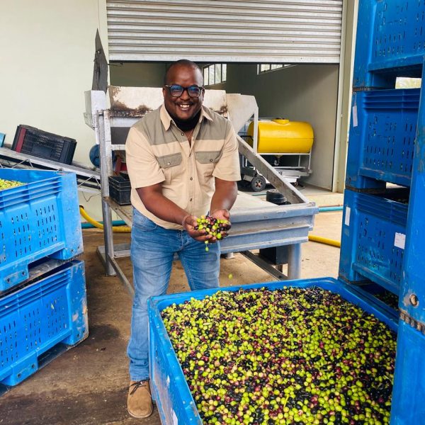 whatsapp image 2026 02 10 at 17.08.54 (2)